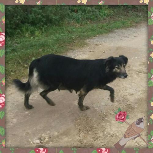 Люди добрые! Не будьте равнодушными! 03 Люди добрые! Не будьте равнодушными! 03