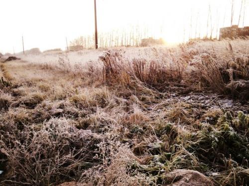 Доброе утро, Владимир!  