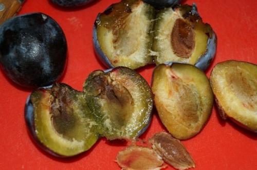 Рецепт творожного пирога со сливами. 04 Рецепт творожного пирога со сливами. 04