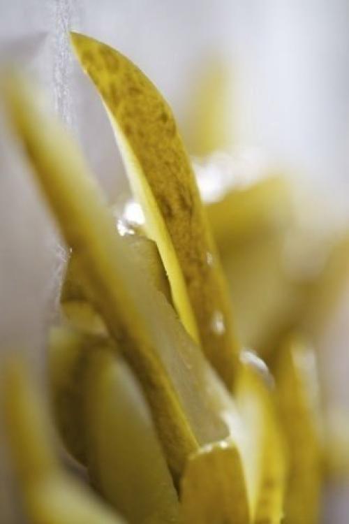 Солянка мясная.   Классика - всегда хорошо, побалуйте себя наваристой солянкой! 03