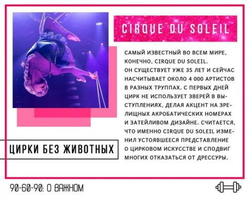 5 мировых цирков, которые отказались от выступлений с животными, но нашли чем удивить зрителей.