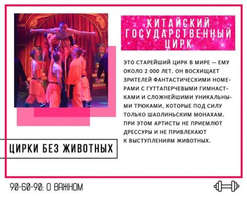 5 мировых цирков, которые отказались от выступлений с животными, но нашли чем удивить зрителей. 01