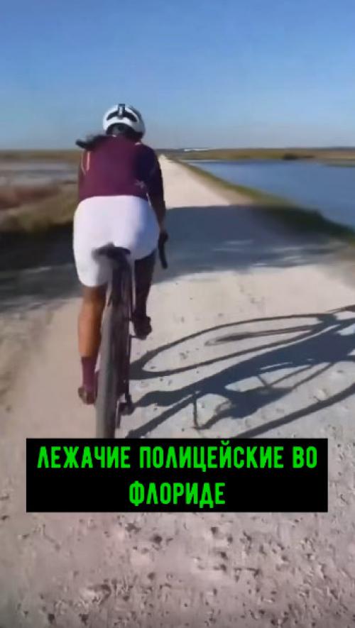 Зубастый лежачий полицейский! 01