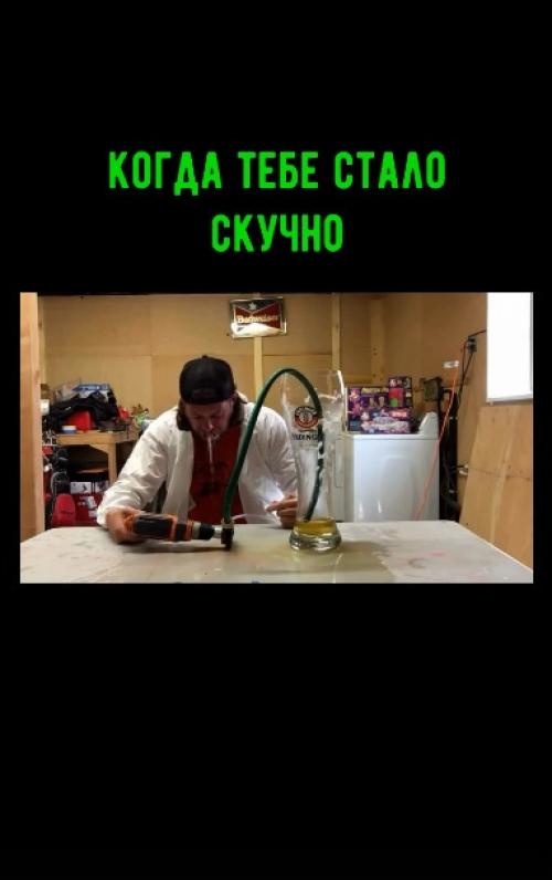 Что может быть лучше, чем путешествие на авто со своим псом! 01