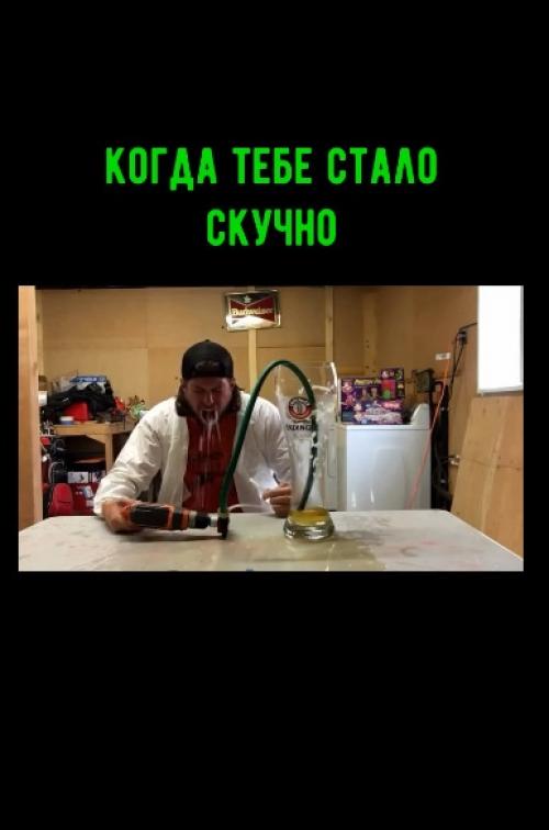 Что может быть лучше, чем путешествие на авто со своим псом! 

