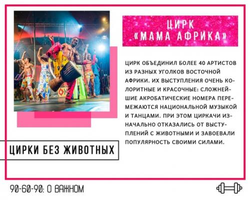 5 мировых цирков, которые отказались от выступлений с животными, но нашли чем удивить зрителей. 02