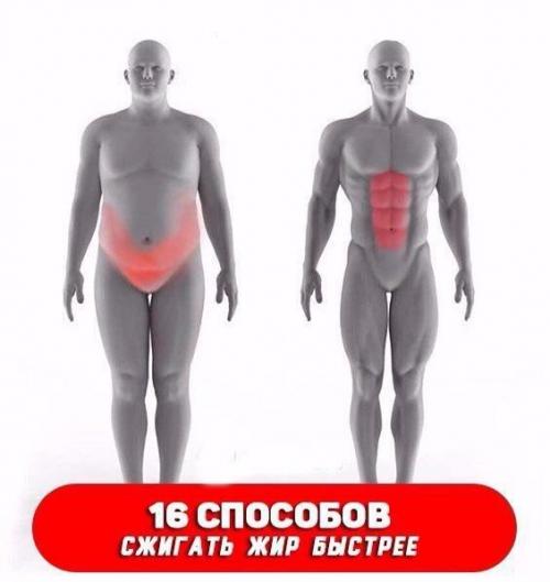 16 способов сжигать жир быстрее.

