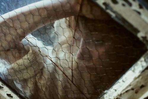 Я этой истиной избитой.