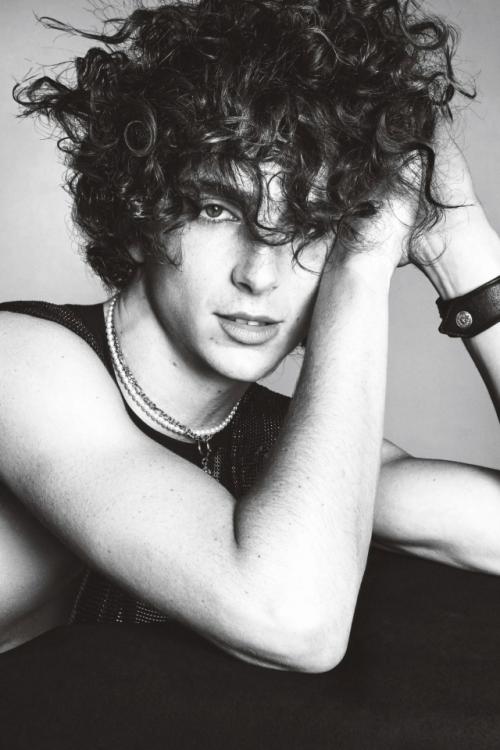 В соединенных штатах полагают, что Тимоти шаламе 