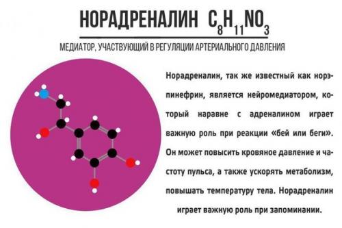 Здравствуйте девочки!  Хочу услышать от вас критику, что не так, что исправить? 04