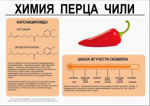 Познавательная инфографика о химическом составе некоторых продуктов. 01