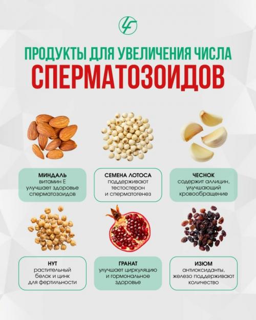 Низкий тестостерон?  Возможно, дело не в возрасте, а в питании. 03