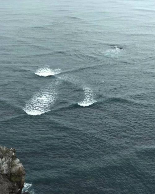 Прямоугольные волны возникают, когда волны приходят сразу с двух перпендикулярных направлений. 01