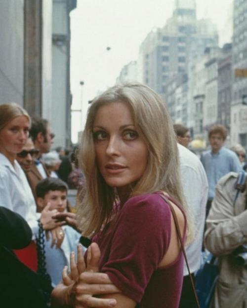 Шэрон тейт и роман полански на премьере фильма Ребенок Розмари. 01