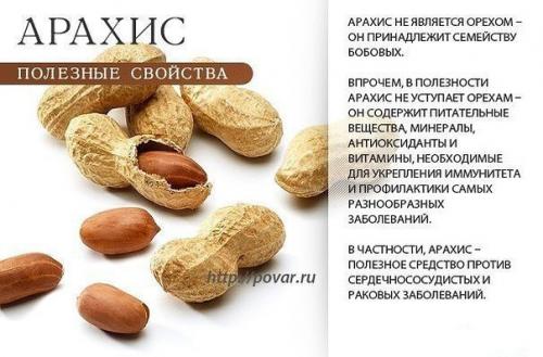 Орехи - немаловажный элемент здорового питания. 06