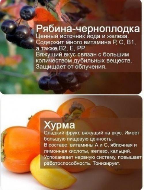 Фруктово - ягодная инструкция по применению. 03