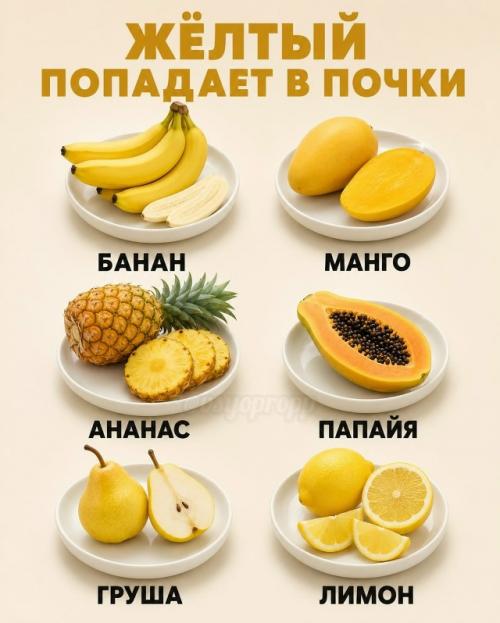 Красные продукты поддерживают сердце и сосуды, жёлтые помогают работе почек, фиолетовые полезны для мозга, а зелёные - для печени. 01