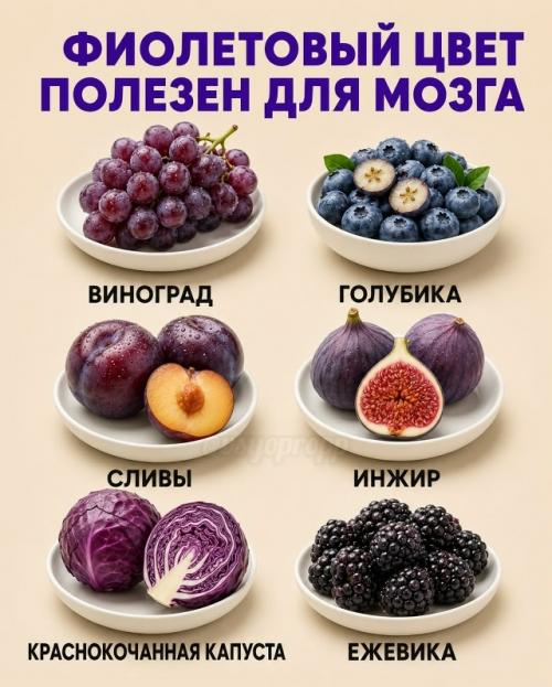 Красные продукты поддерживают сердце и сосуды, жёлтые помогают работе почек, фиолетовые полезны для мозга, а зелёные - для печени. 02