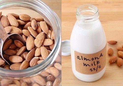 Молоко без коровы: полный гид по растительному молоку. Молоко без коровы: полный гид по растительному молоку.