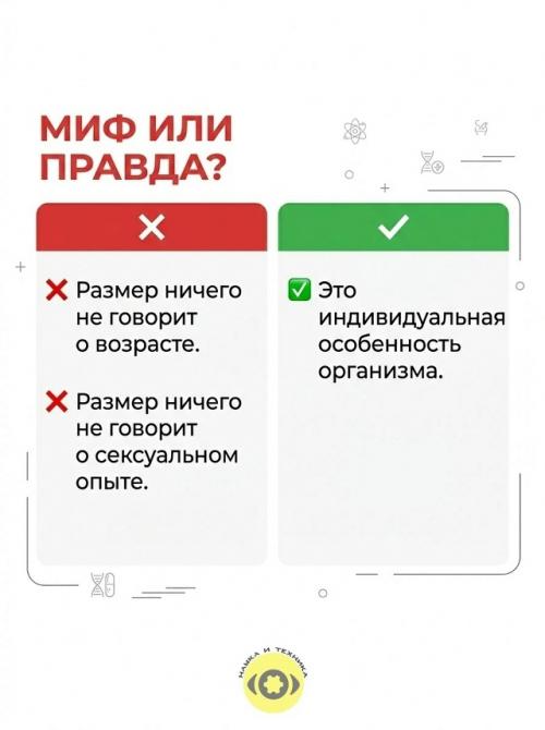 Многие замечали, что у разных женщин ореолы сосков могут сильно отличаться по размеру, цвету и форме. 01 Многие замечали, что у разных женщин ореолы сосков могут сильно отличаться по размеру, цвету и форме. 01