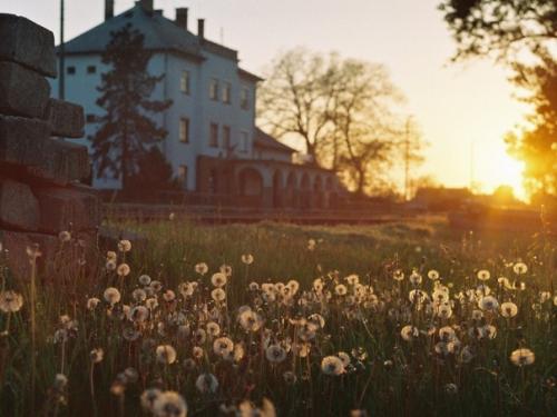 Чуешь, какой воздух? 03