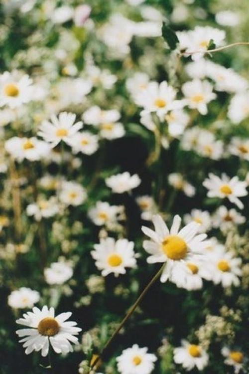 В жизни каждого есть такой человек, который не поддается логике, законам и принципам. 01 В жизни каждого есть такой человек, который не поддается логике, законам и принципам. 01