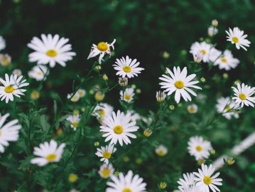 Чуешь, какой воздух? 07