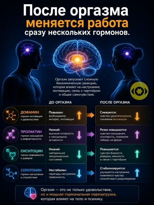 Большинство замечало, что после оргазма мужчина часто почти сразу теряет возбуждение, тогда как женщина может дольше сохранять возбуждение. 02 Большинство замечало, что после оргазма мужчина часто почти сразу теряет возбуждение, тогда как женщина может дольше сохранять возбуждение. 02