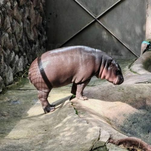 Вот это модница!  