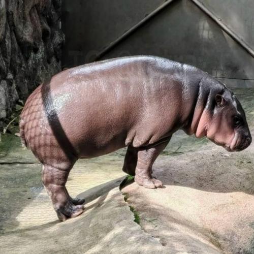 Вот это модница! 01