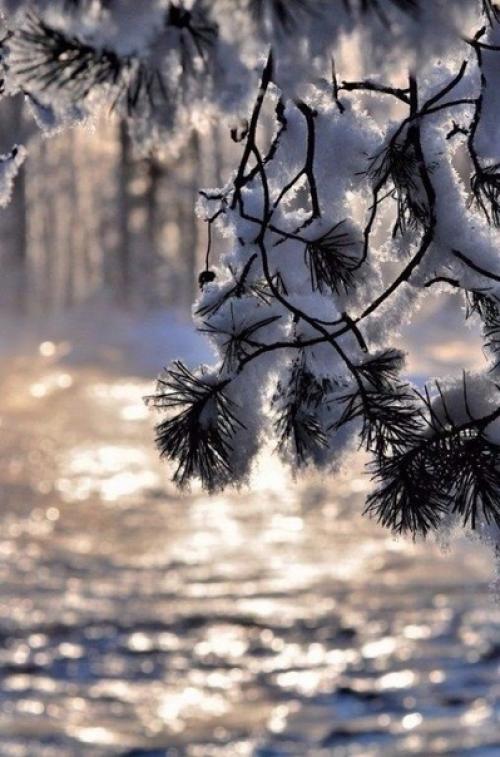 Чудная картина, как ты мне родна: 05