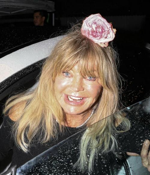 80-Летняя голди хоун публику своим внешним Видом ужаснула.
