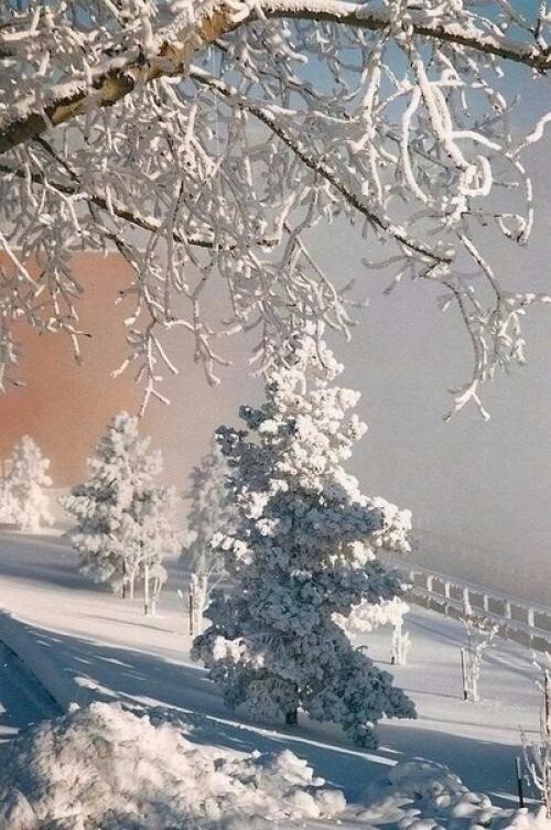 Чудная картина, как ты мне родна: 02