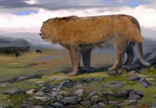 Это фигурка пещерного Льва, найденная на Алтае. 01