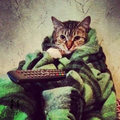 Откуда у вас появляется время на плед, книги, страдания и прочие атрибуты осени?