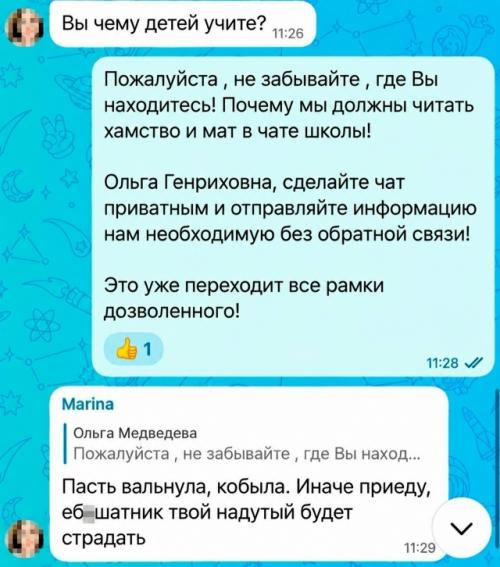 Родительский чат пятого класса стал местом жесткого виртуального конфликта из-за обсуждения школьных учебных пособий. 02