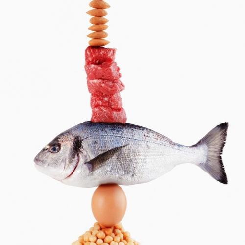 Белки - один из ключевых элементов нашего питания.