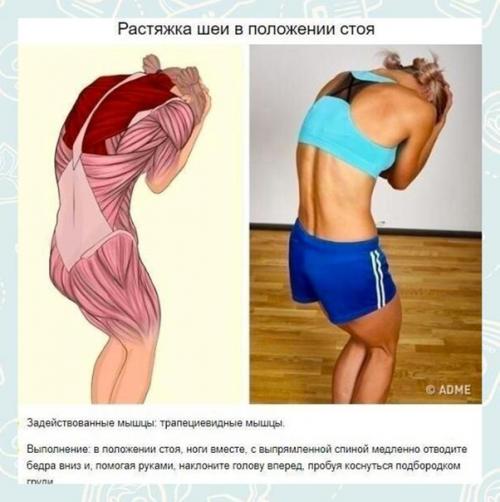 Такие занятия делают связки и суставы более эластичными, позволяя человеку выполнять движения по полной амплитуде. 01