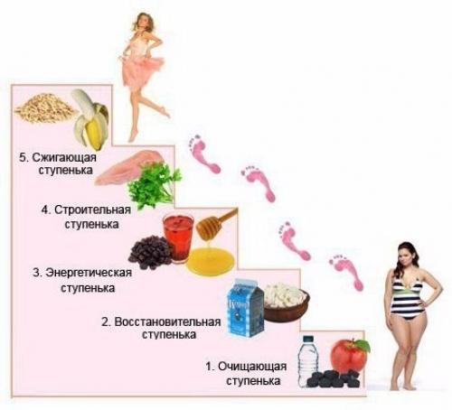 Этапы диеты 