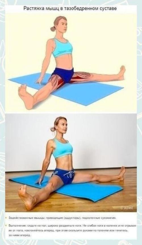 Такие занятия делают связки и суставы более эластичными, позволяя человеку выполнять движения по полной амплитуде. 03