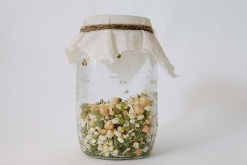 Как проращивать семена и зерна. 03 Как проращивать семена и зерна. 03