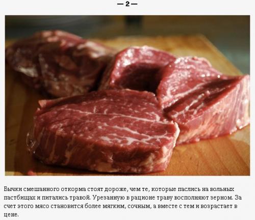 9 фактов, которые нужно знать о стейке. 01 9 фактов, которые нужно знать о стейке. 01