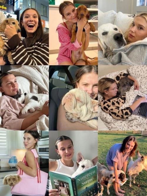 Милли Бобби Браун появилась в радиоэфире и там актриса рассказала, что она является владелицей более чем 60 животных. 01