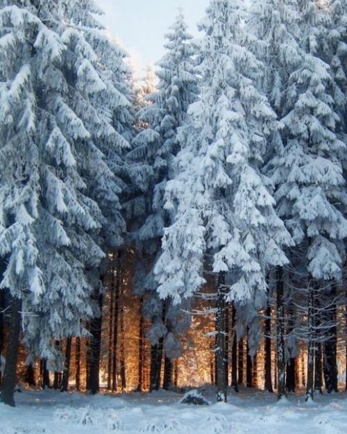 Мой вам совет: при любых обстоятельствах. 01