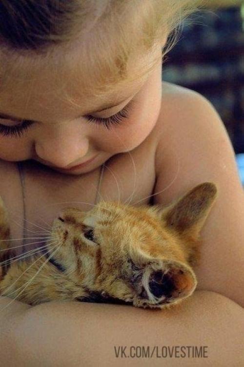 Берегите своих детей их за шалости не ругайте стихи. 