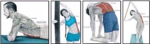 Зачем нужна растяжка и как правильно растягиваться? 06