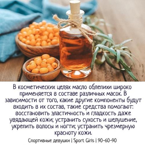 Облепиховое масло.  Масло из облепихи в домашних условиях. 02