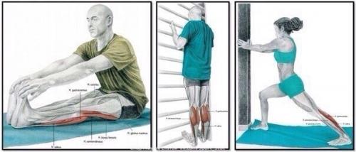 Зачем нужна растяжка и как правильно растягиваться? 01