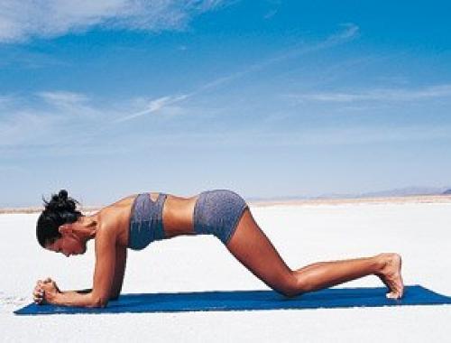 Мини - комплекс для плоского живота и гибкого стройного стана. 02 Мини - комплекс для плоского живота и гибкого стройного стана. 02