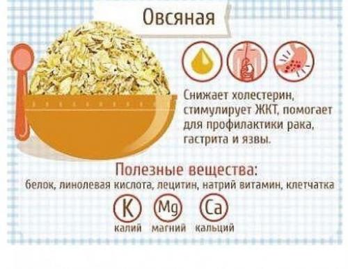 Диетический ужин: быстрый пирог с капустой. 02